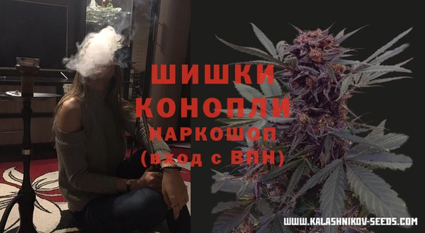 бошки Сатка
