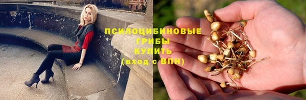 стафф Гвардейск