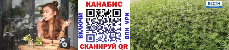 Бошки марихуана OG Kush маркетплейс Telegram Лакинск купить цена
